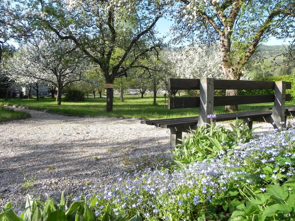 Gasthof Grüner Baum Kirchberg am Wechsel Exterior foto